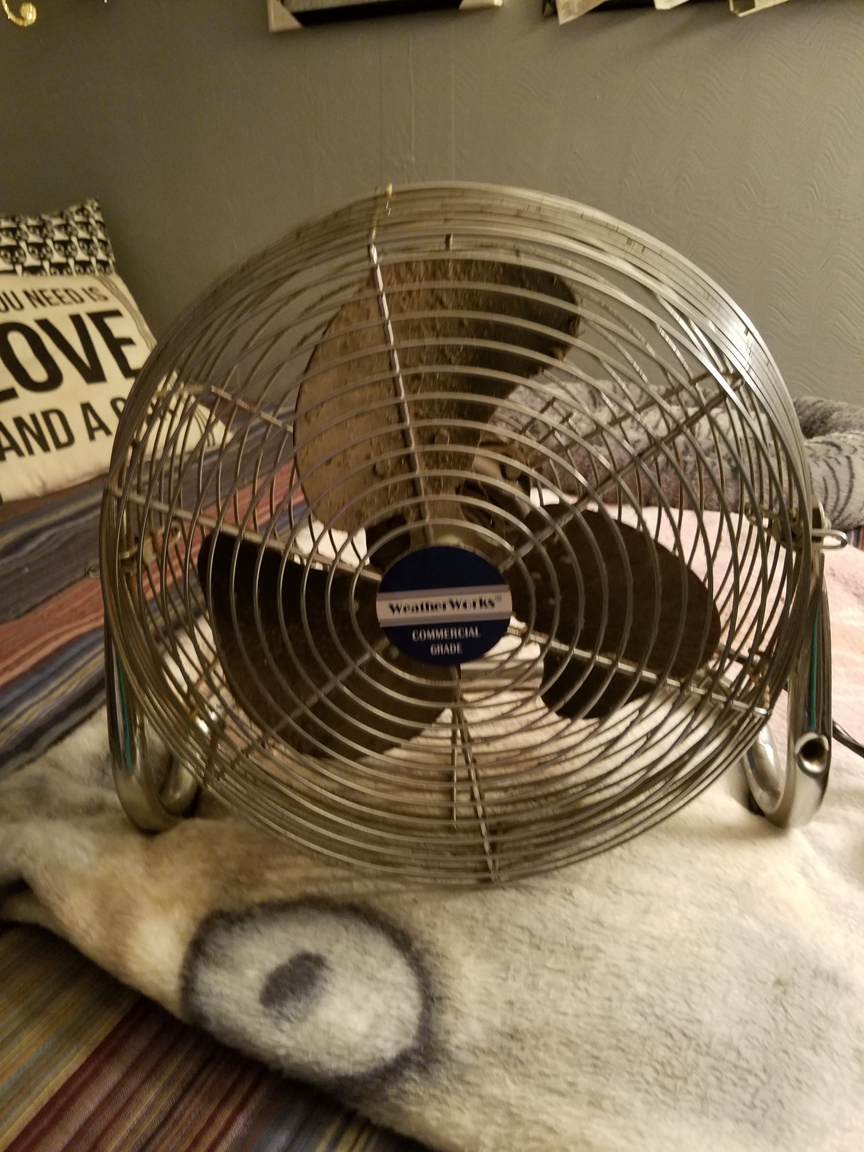 WEATHER WORKS fan