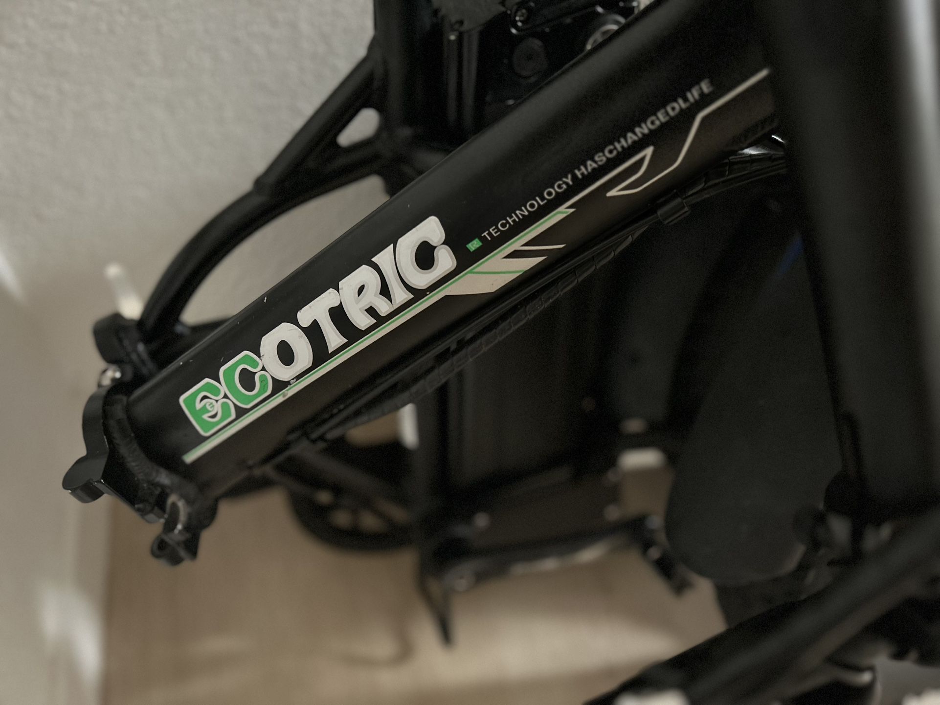 Electric Bike (Ecotric)