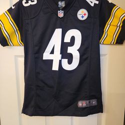 Troy Polamalu Jersey