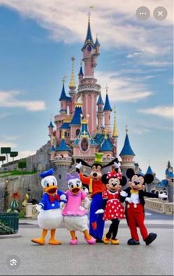 DISNEYLAND 🎢🎡🍿🥤🥨🍦 ONE ☝️ PARK (1) TICKET 🎟️ PRICE FIRM