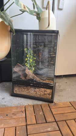 Zoo med terrarium
