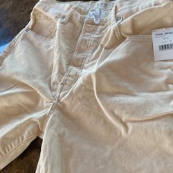 Free People Pants