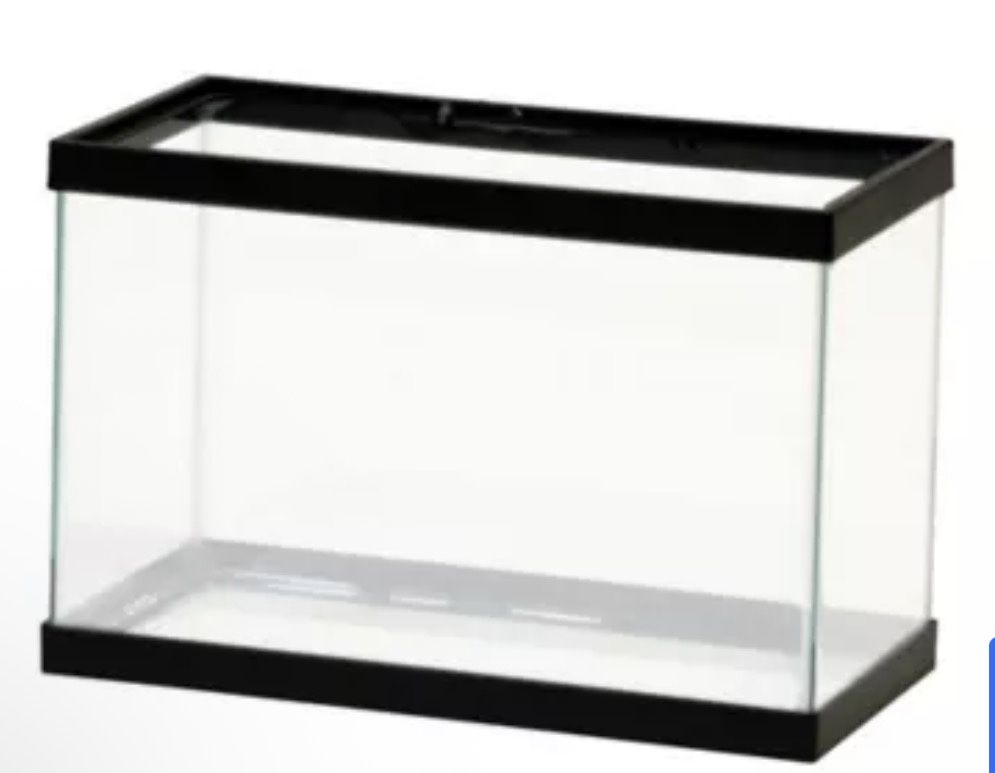 5.5 gallon fish tank and heater 