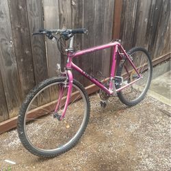 Vintage Trek Mountain Bike