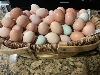 Eggs -Fresh Organic