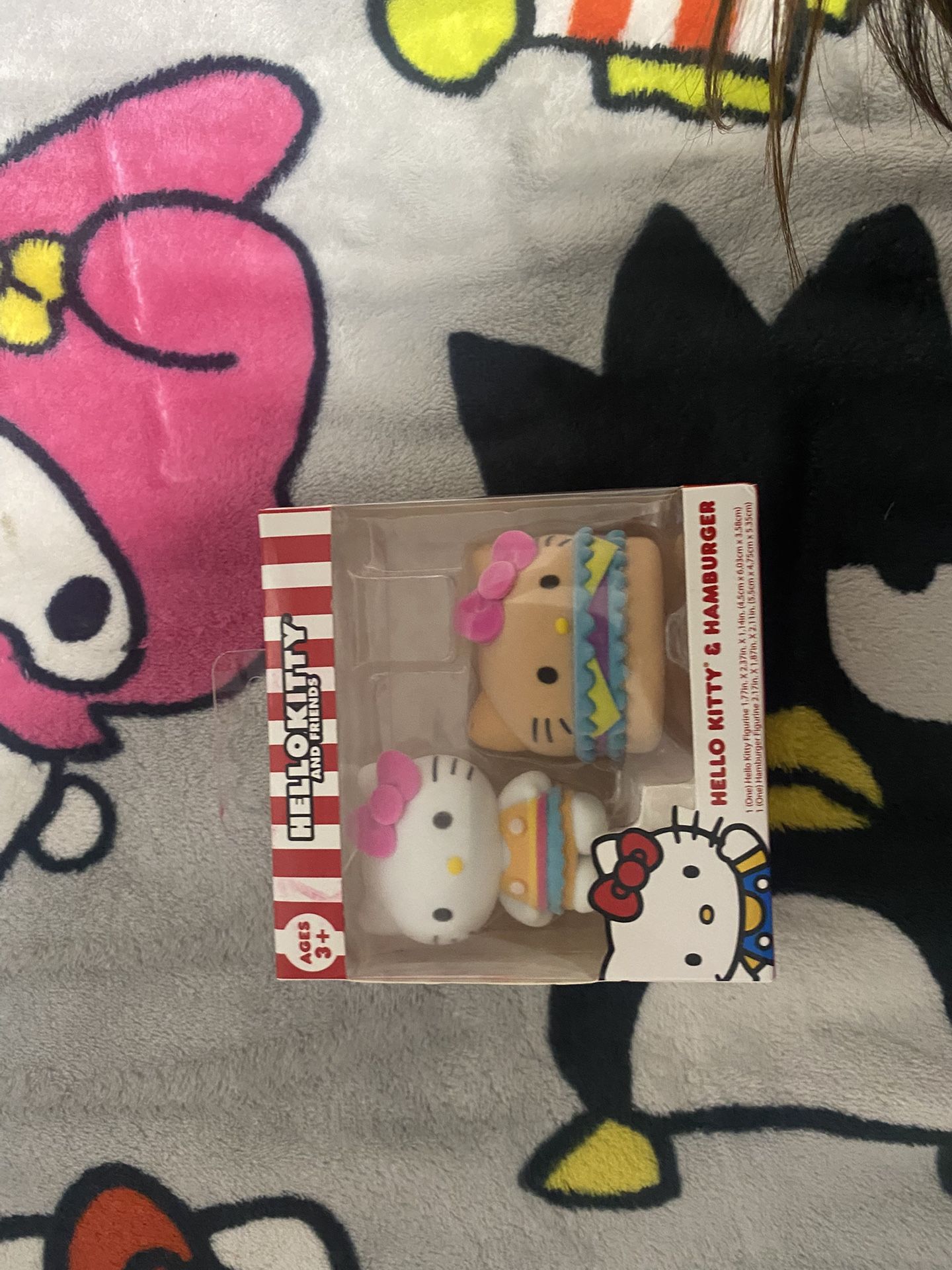 Hello Kitty & Hamburger