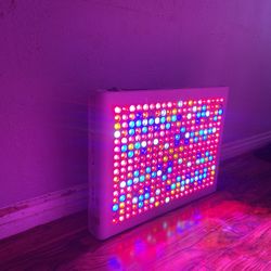 Grow Light