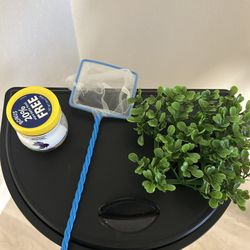 Betta Fish Tank