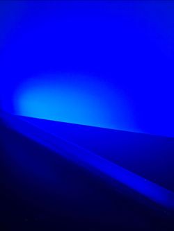 Blacklight