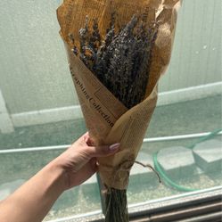 Dried Lavender
