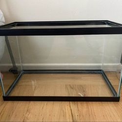 10 Galón Fish Tank
