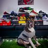 Union Shop
