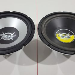 Lightning Audio 12" Subwoofers