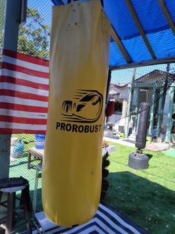 Prorobust Punching Bag With 12oz Gloves