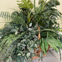 Beautiful Monstera Faux Plant In Wicker Basket 27 Inches Tall X 24 Inches Wide 