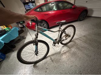 Mountain/Sports Bike