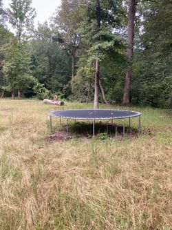 Trampoline Free