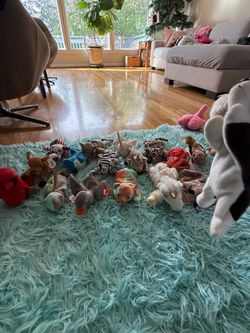 Beanie Baby Collection