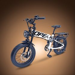 Brand New motorcycle style 750W foldable frame fat tire ebike