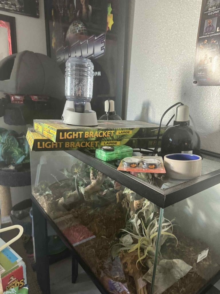 Complete Reptile Tank