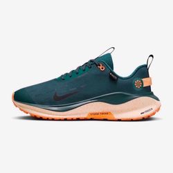 Nike Men’s Running shoes 