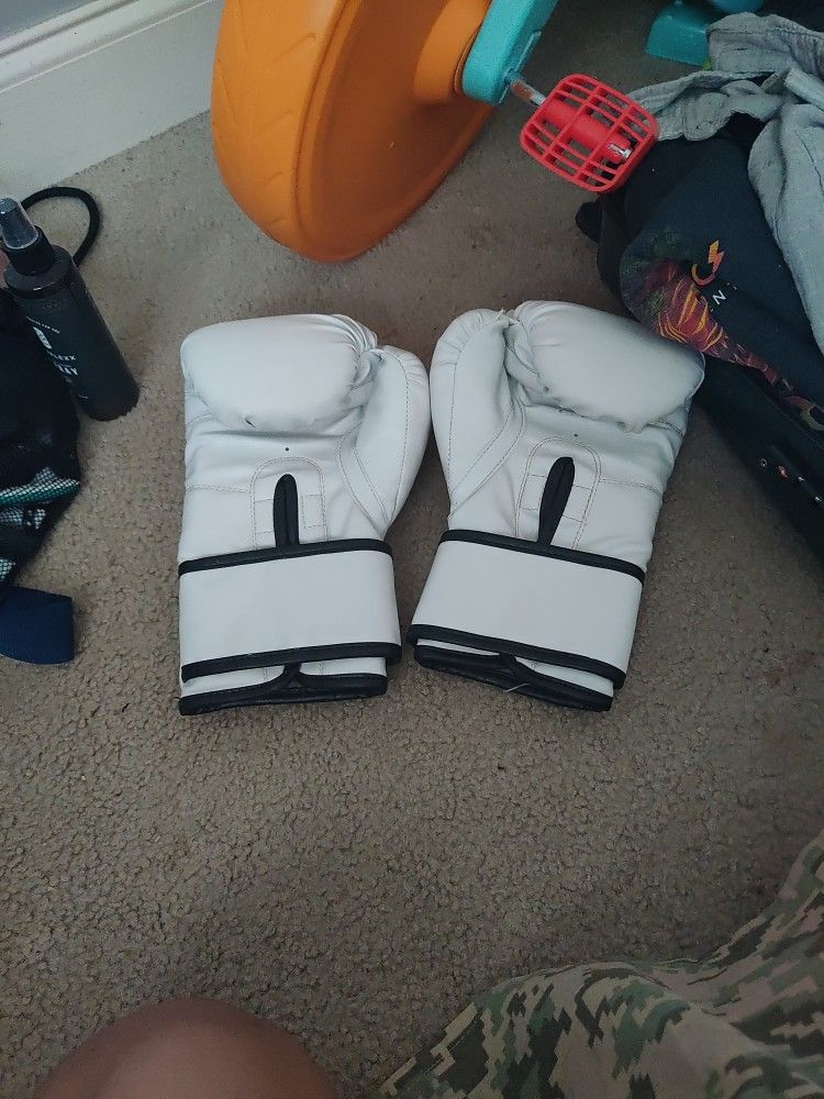 12 Ounce Everlast Boxing Gloves