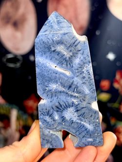 Rare Blue Fossil Coral Crystal Freeform 4” – Flower Patterns