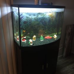 38 Gallon Fish tank