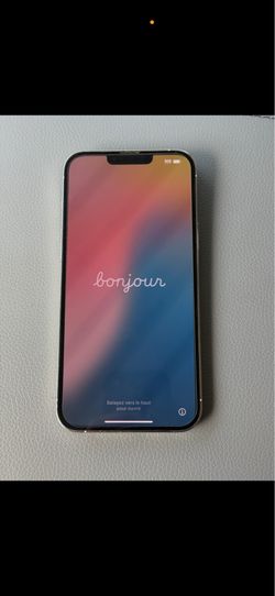 📱 iPhone 13 Pro Max (Unlocked)