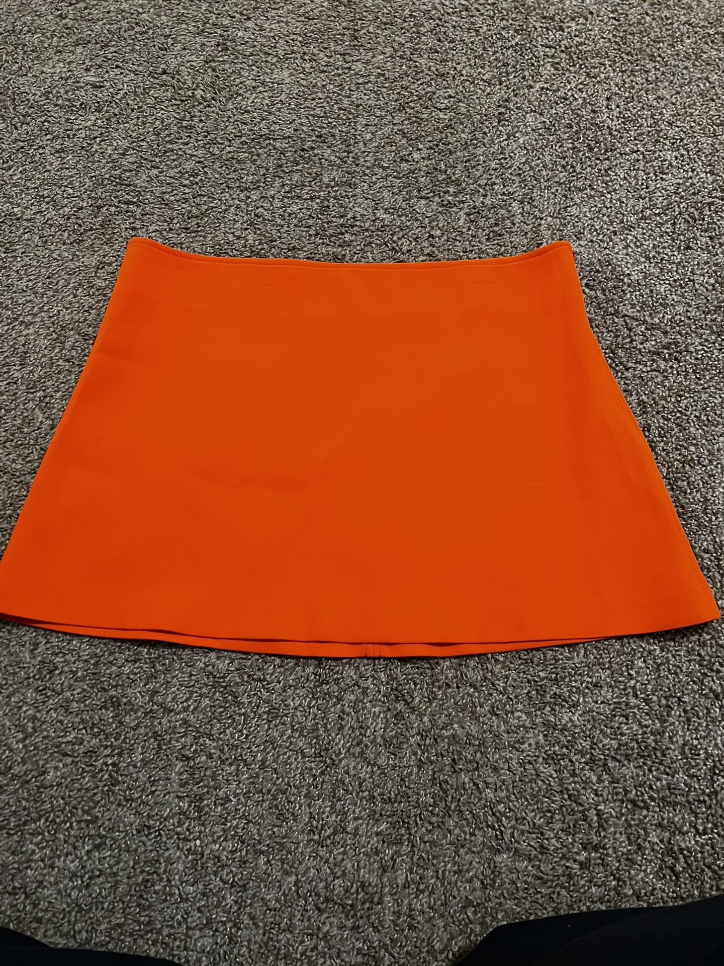 Zara Mini Skirt