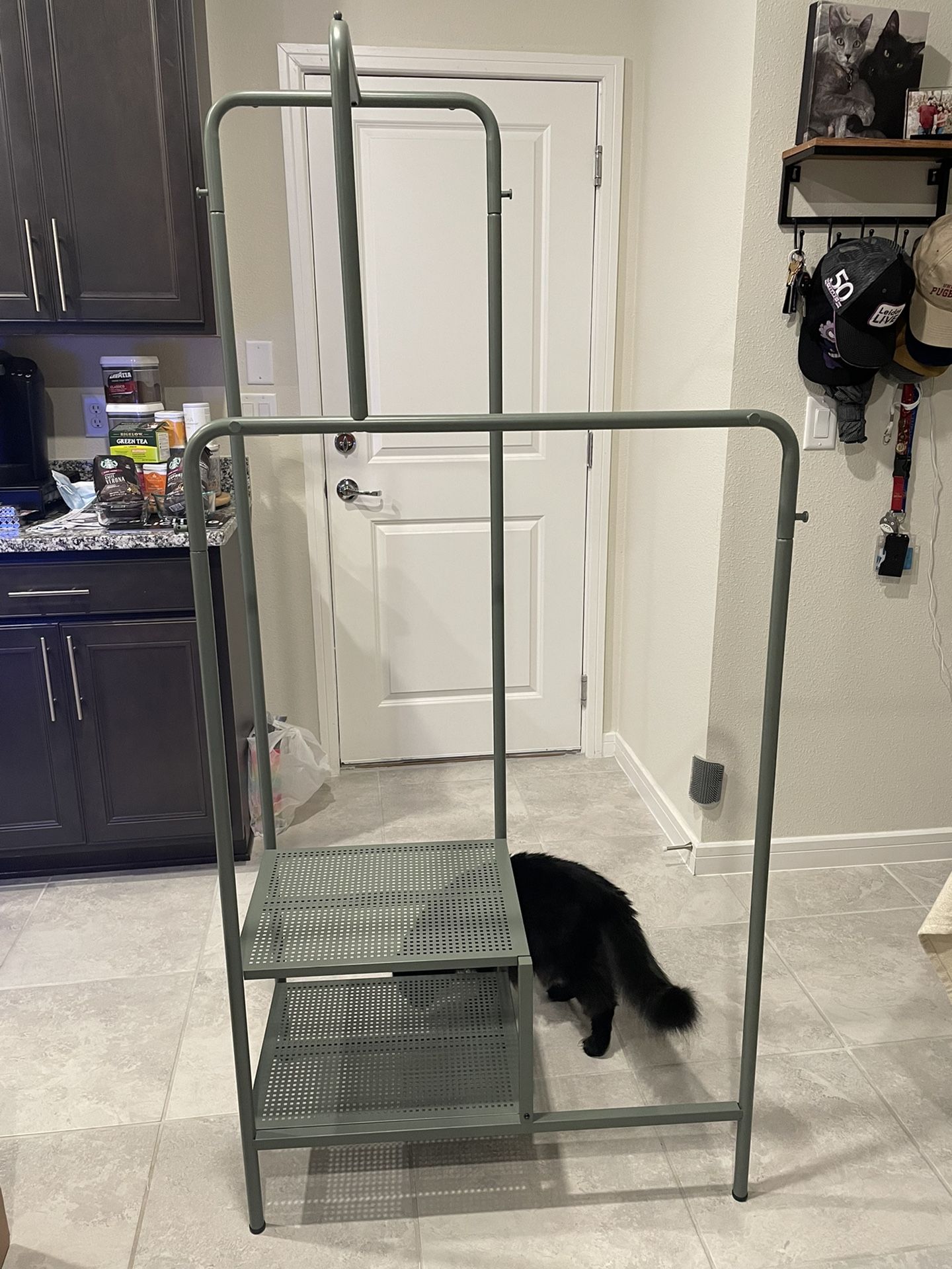 Ikea NIKKEBY clothes rack gray-green (cat not included Lol)
