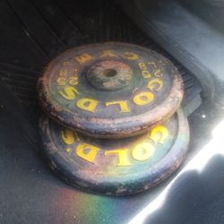 Two 25lb Golds Gym Weight Plates