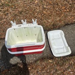 Igloo Cooler 