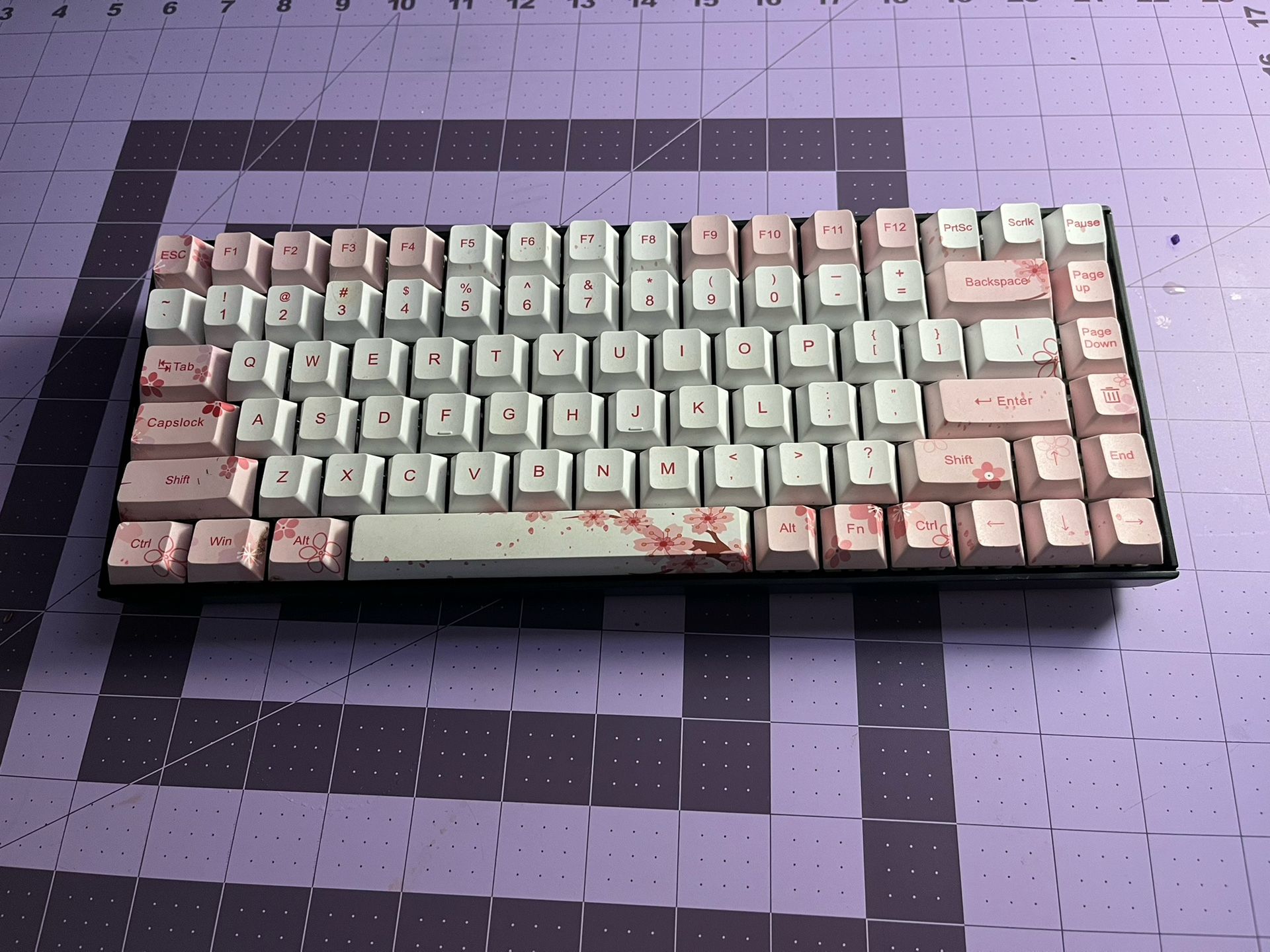 Mechanical Keyboard (official Keycaps)