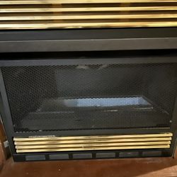 Fireplace Propane Or Natural Gas 