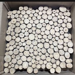 Wood Coins 