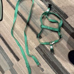 Leach And Harness