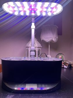 Aerogarden Bounty Basic