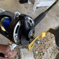 Stingray Single speed Trolling Reel. Same As A TLD 20 