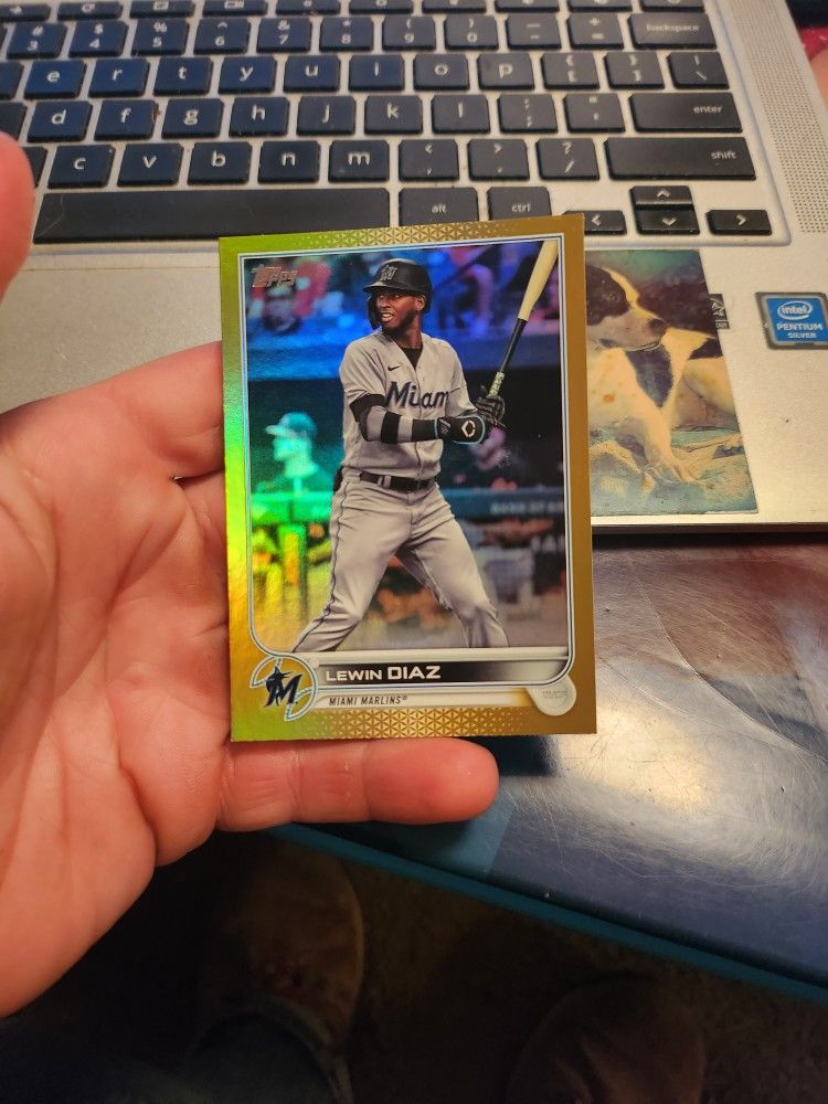 Lewin Diaz Baseball Card