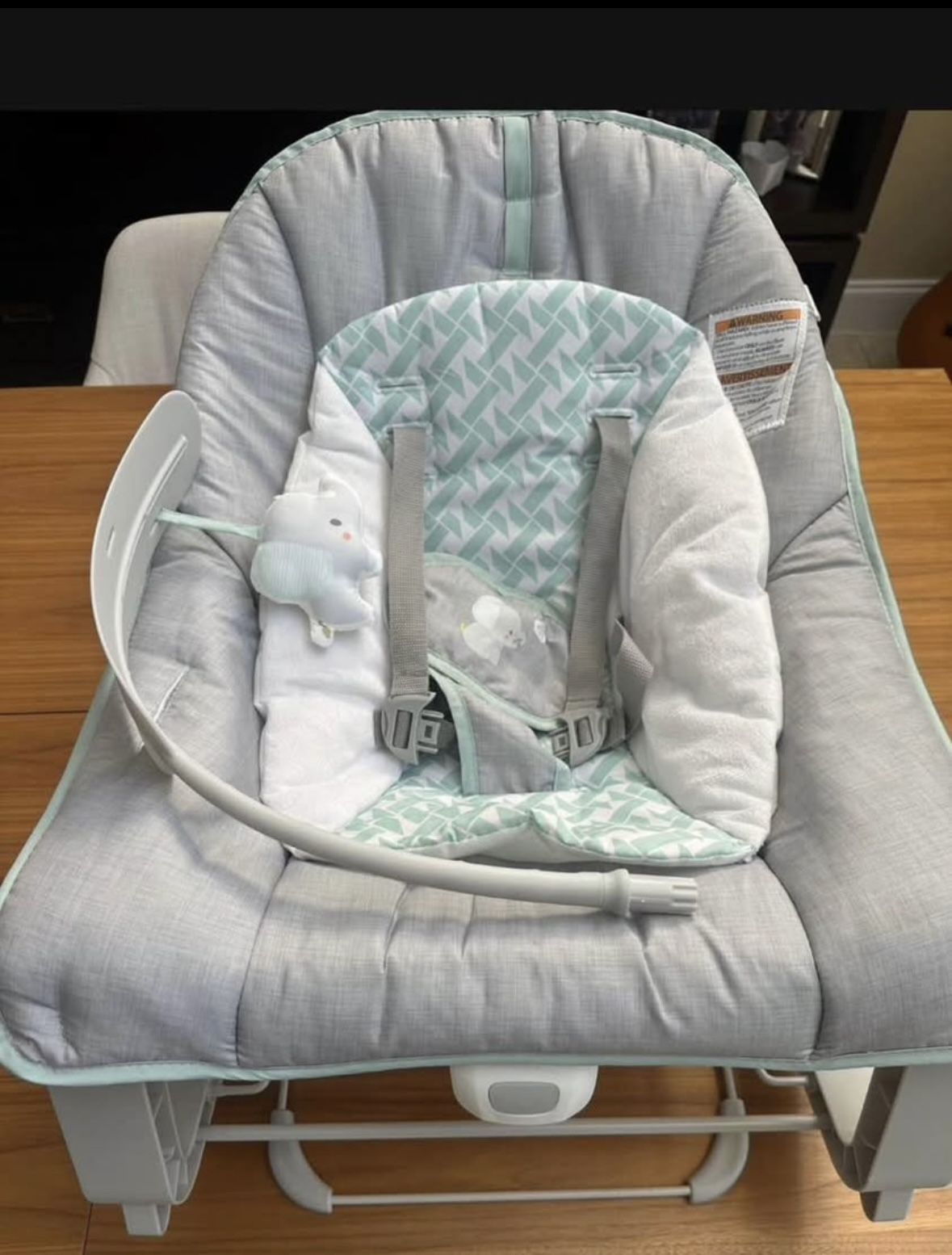 Baby Bouncer