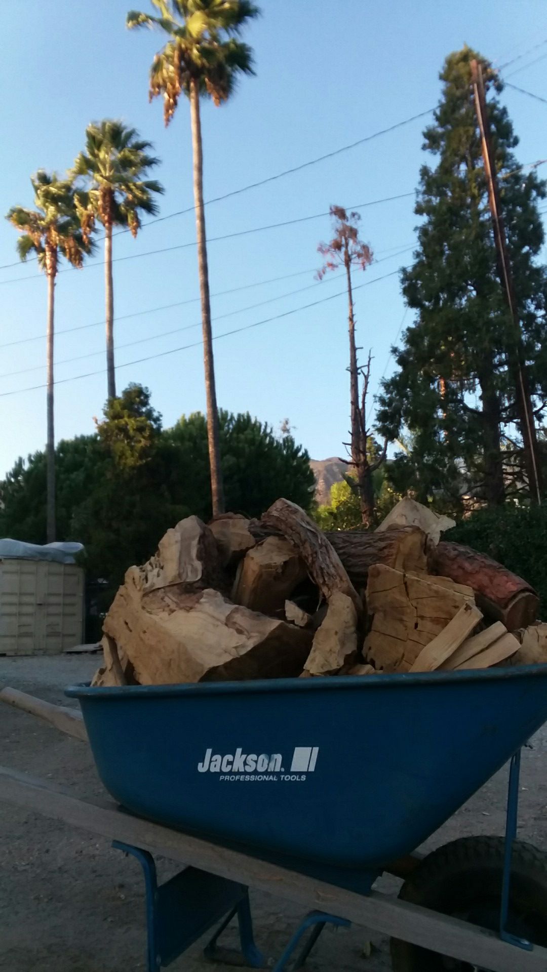 Firewood $10 Each Wheelbarrow