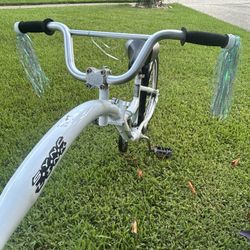 Co-Pilot Bike Trailer Weeride Pull Behind 