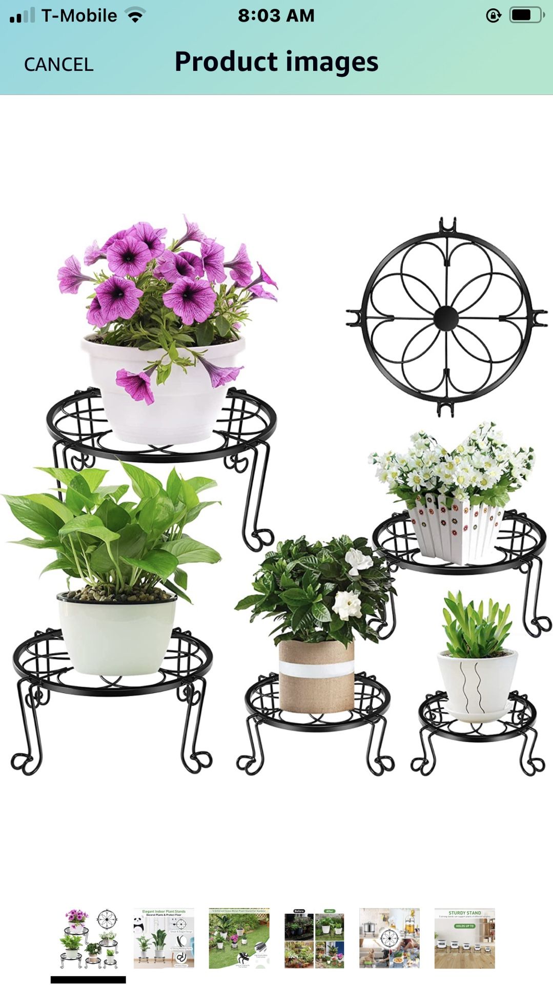 5 Pack Metal Plant Stands for Indoor Outdoor Plants, Heavy Duty Flower Pot Stands, Black Rustproof Iron Planter Holder, Round Garden Container Plant R