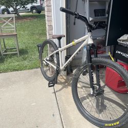 Mountain Bike/ Dirt Jumper 