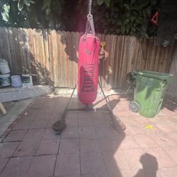 punching bag with stand