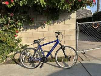 Blue Bicycle 
