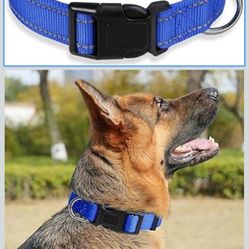 Dog Collar Adjustable Puppy Collar for Small Medium Large Dogs, Nylon Safety Collars with Leopard Print Night Visibility, Blue L