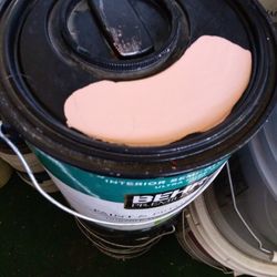 Pinturas de 1 Gallon