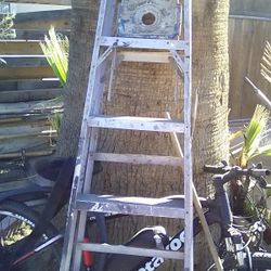 Werner ,6 Ft Ladder